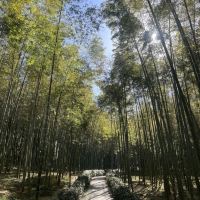 評論圖片 4