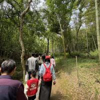 評論圖片 5