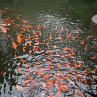 評論圖片 5