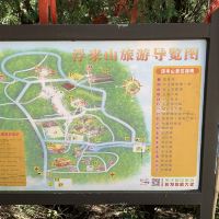 評論圖片 1