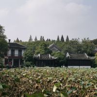 評論圖片 9