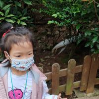 評論圖片 4