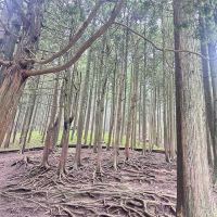 評論圖片 1