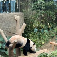 評論圖片 7