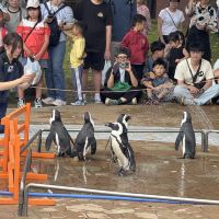 評論圖片 4