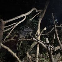 評論圖片 4
