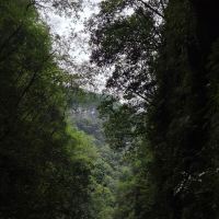 評論圖片 8