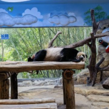 評論圖片 5