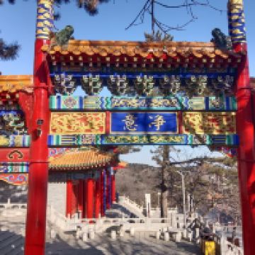 評論圖片 6