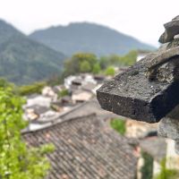 評論圖片 8