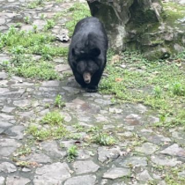 評論圖片 1