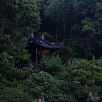 評論圖片 6