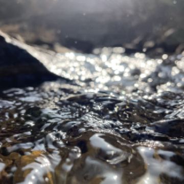 評論圖片 2