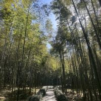 評論圖片 3