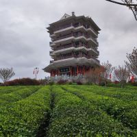 評論圖片 3