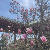 評論圖片 1