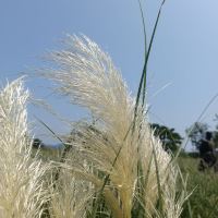 評論圖片 4