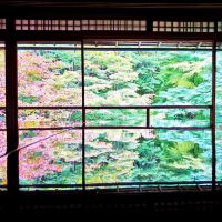 評論圖片 2