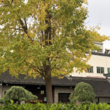 評論圖片 4