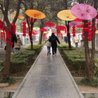 評論圖片 2