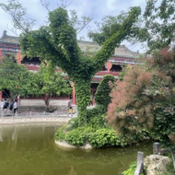 評論圖片 3