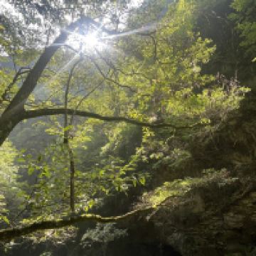 評論圖片 2