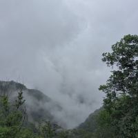 評論圖片 8
