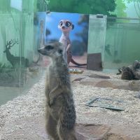 評論圖片 2