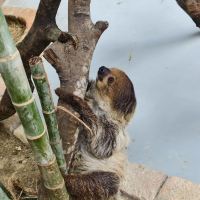 評論圖片 4