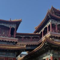 評論圖片 5
