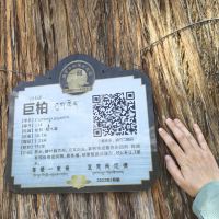 評論圖片 9