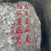 評論圖片 4