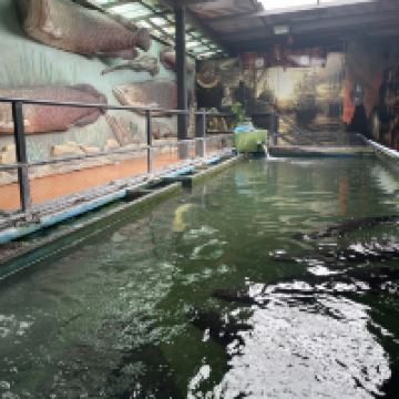 評論圖片 6