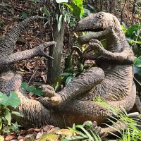 評論圖片 9