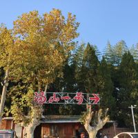 評論圖片 4
