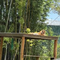評論圖片 1