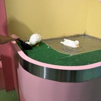 評論圖片 2