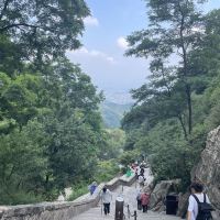 評論圖片 7