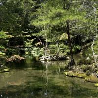 評論圖片 1