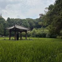 評論圖片 1