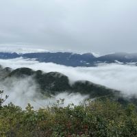 評論圖片 2