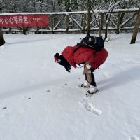 評論圖片 8