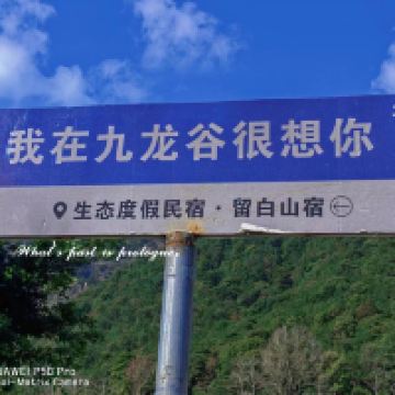 評論圖片 1