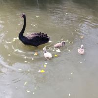評論圖片 5