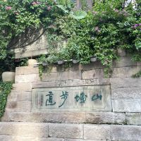 評論圖片 9