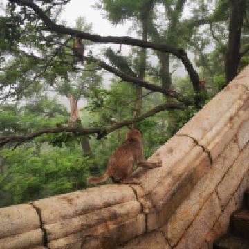 評論圖片 6