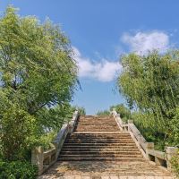 評論圖片 6
