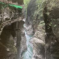 評論圖片 9