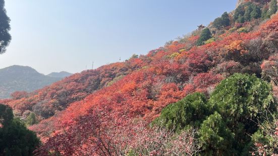 非常值得去的地方，漫山遍野的红色海洋很震撼，整个爬山行程有多