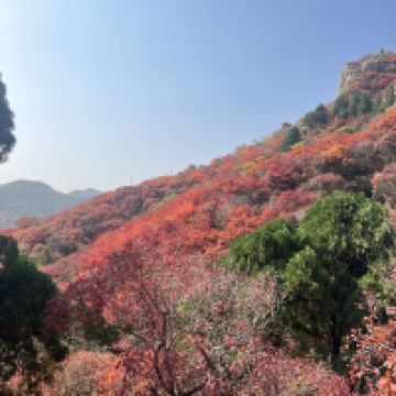評論圖片 1